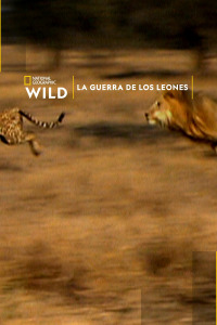 Caratula de WAR OF THE LIONS (LA GUERRA DE LOS LEONES) 