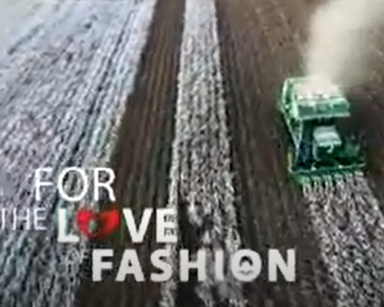 Caratula de For the love of Fashion (Por el amor a la moda) 