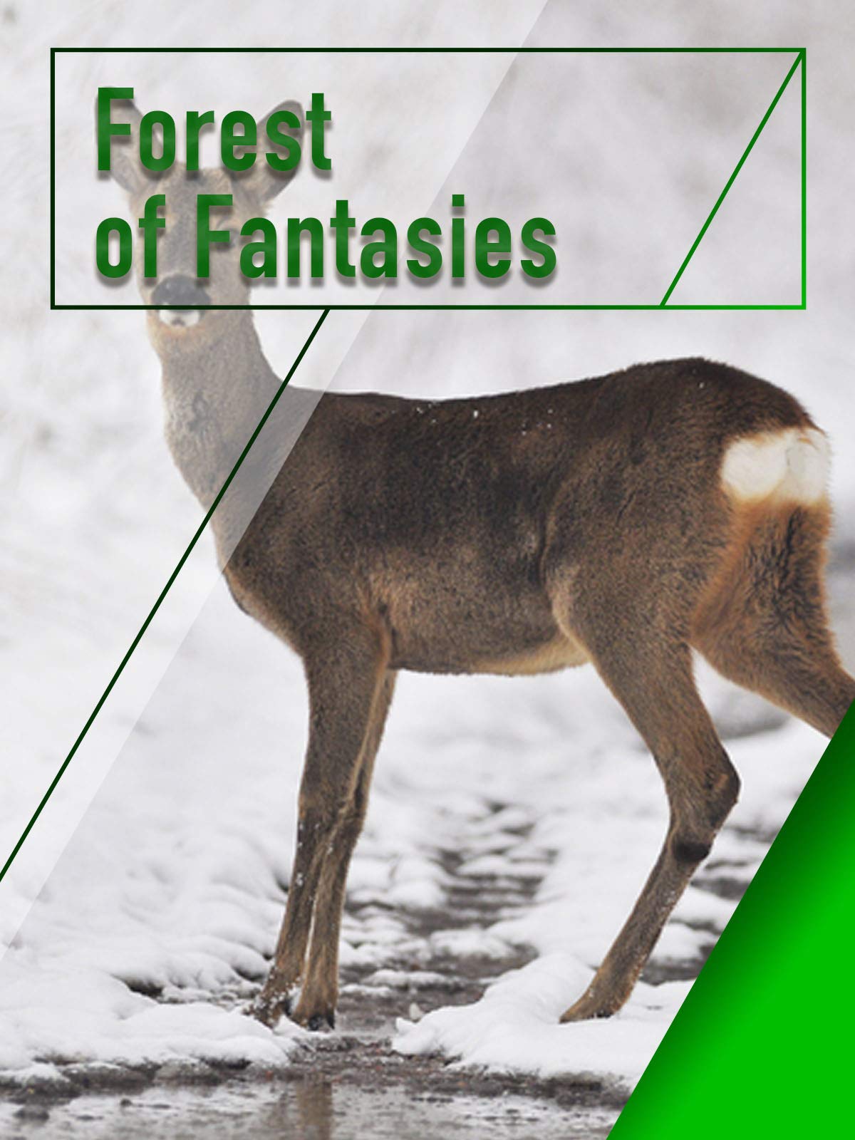Forest of fantasies