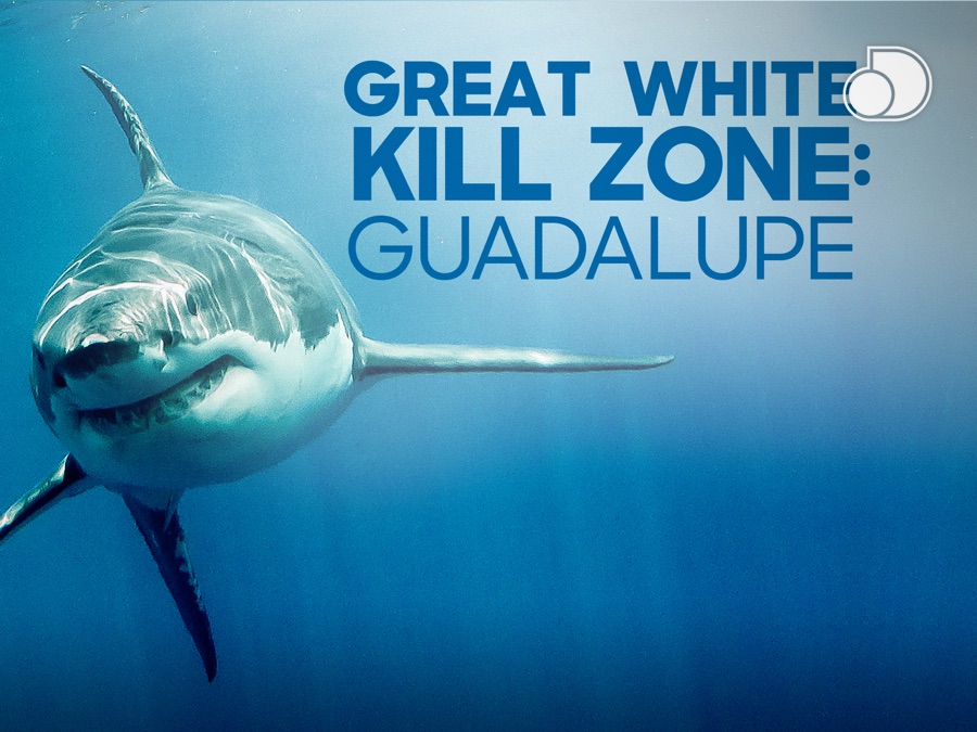 Caratula de Great white kill zone: Guadalupe (Great white kill zone: Guadalupe) 