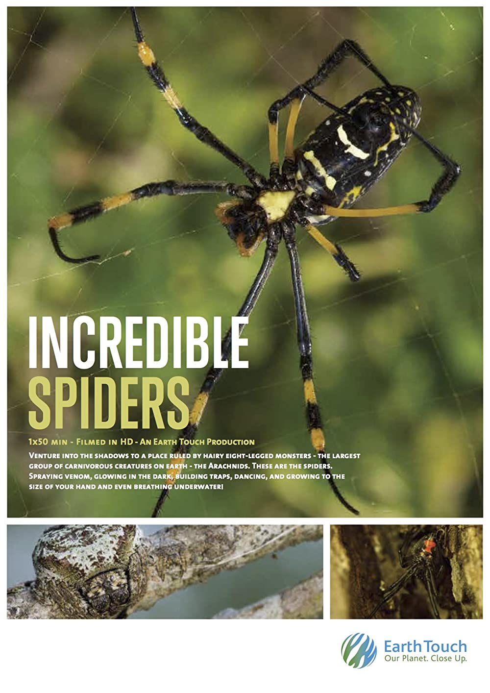 Incredible Spiders