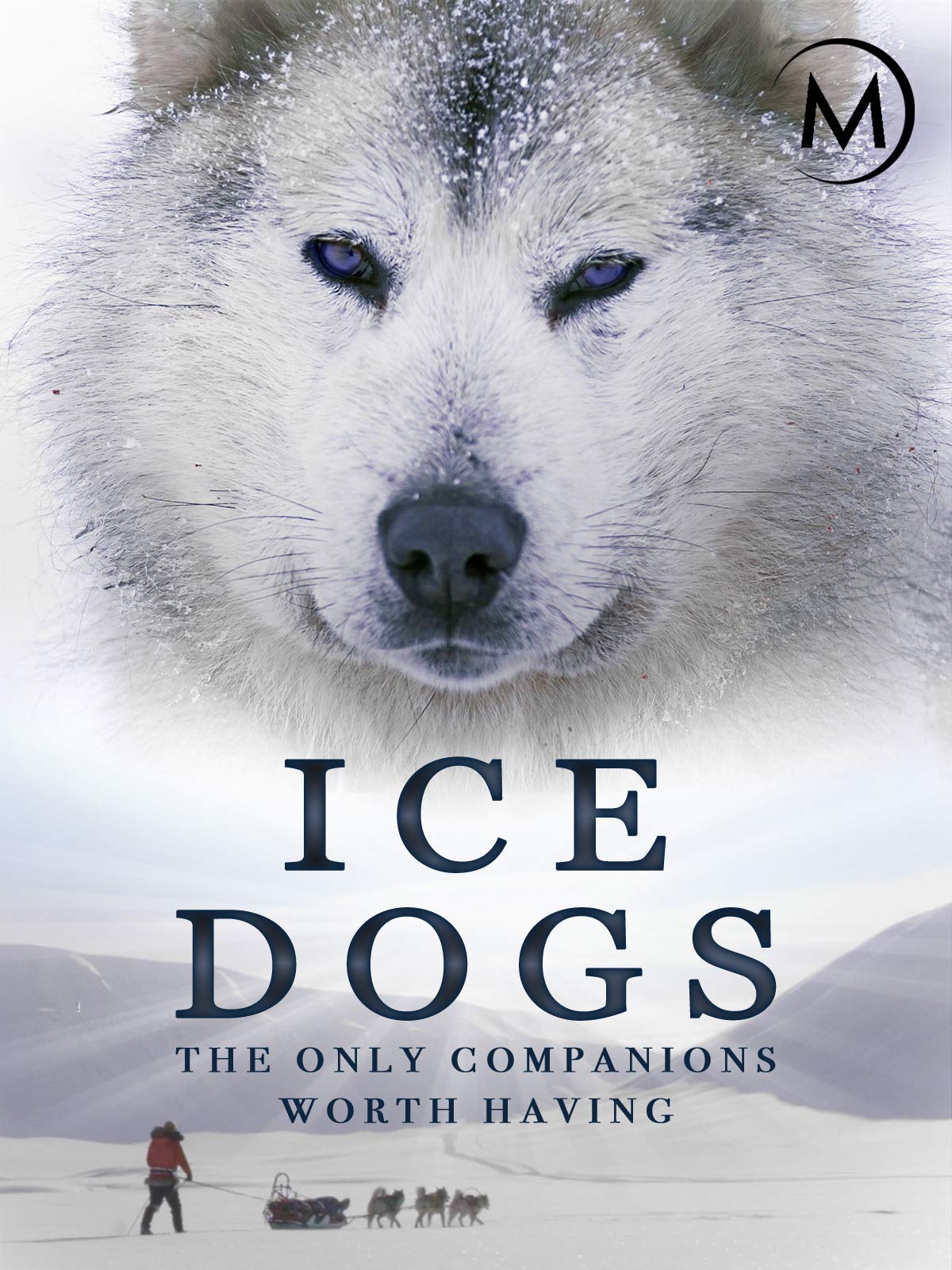 Caratula de Ice Dogs (Los perros del Ártico) 