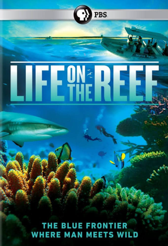 Life on the Barrier Reef