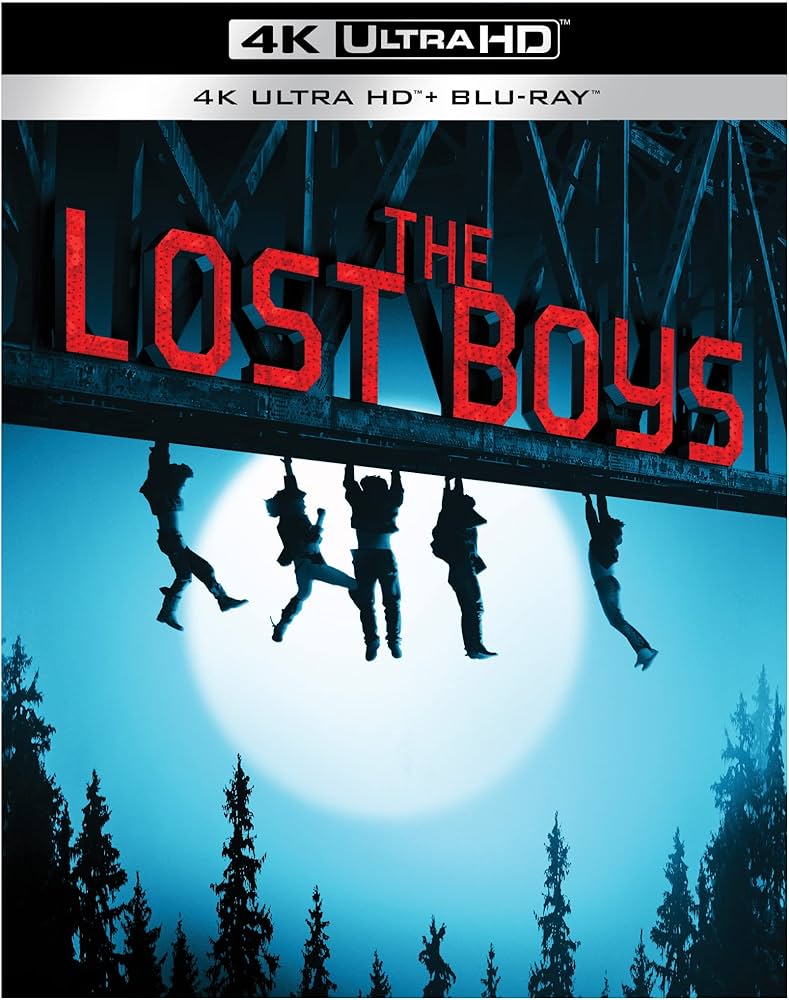 Caratula de The Lost Boys: A Retrospective (None) 