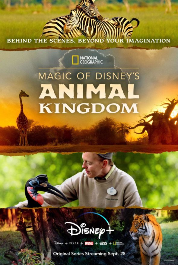 La magia de Animal Kingdom de Disney