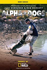 Caratula de Alpha Dogs (Perros al rescate) 