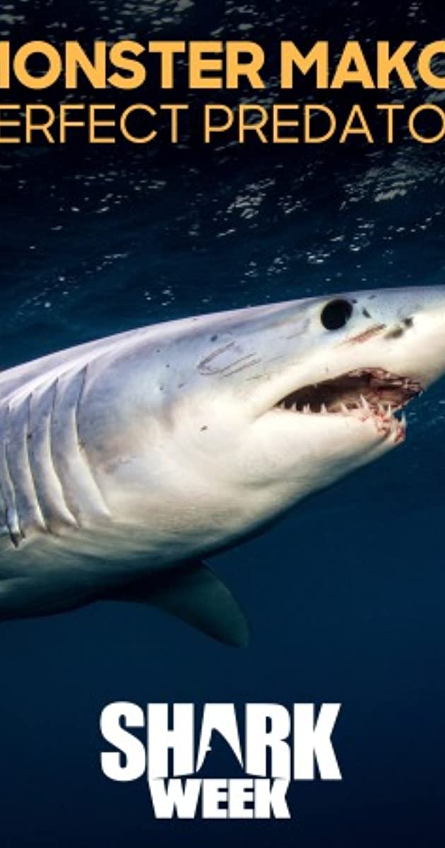 Tiburón Mako: depredador perfecto