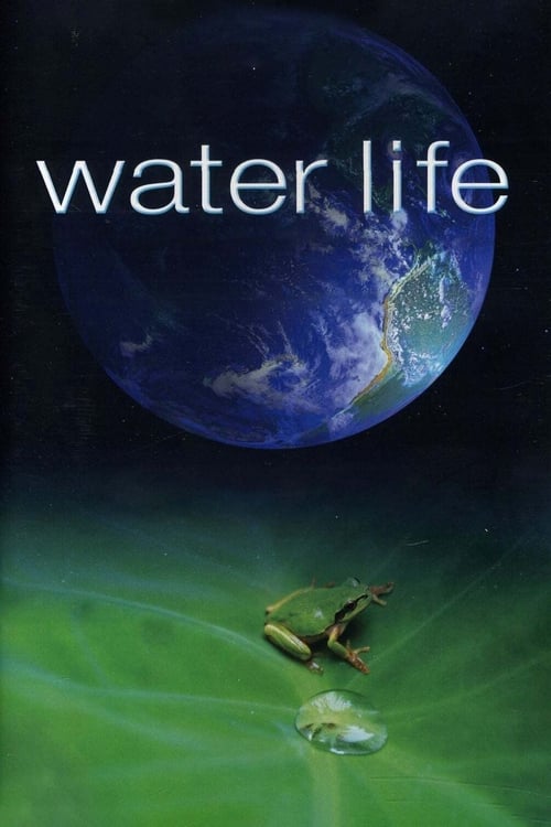 The World of Water