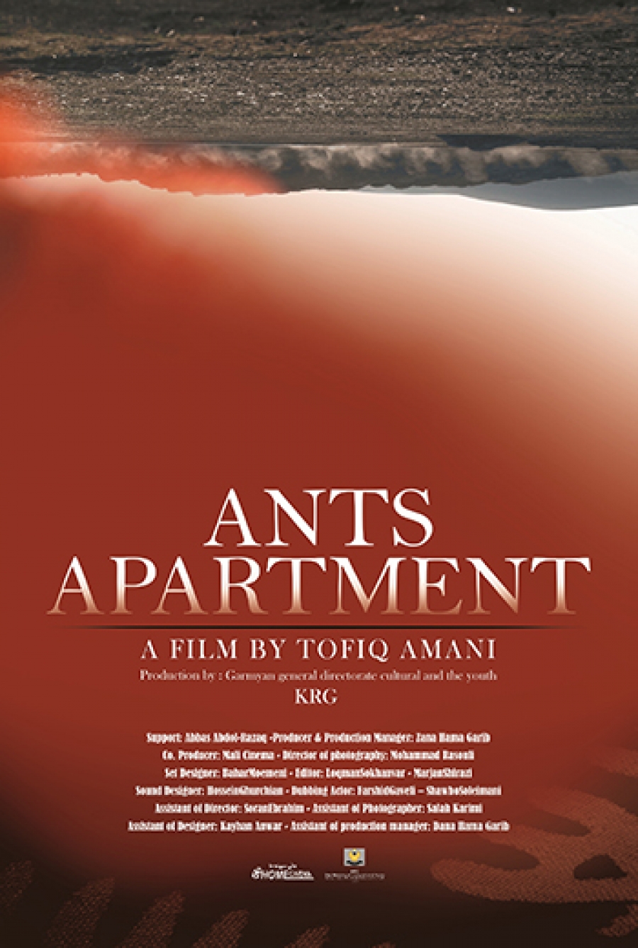 Ants Apartment