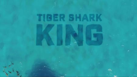 Caratula de Tiger Shark King (Tiger Shark King) 