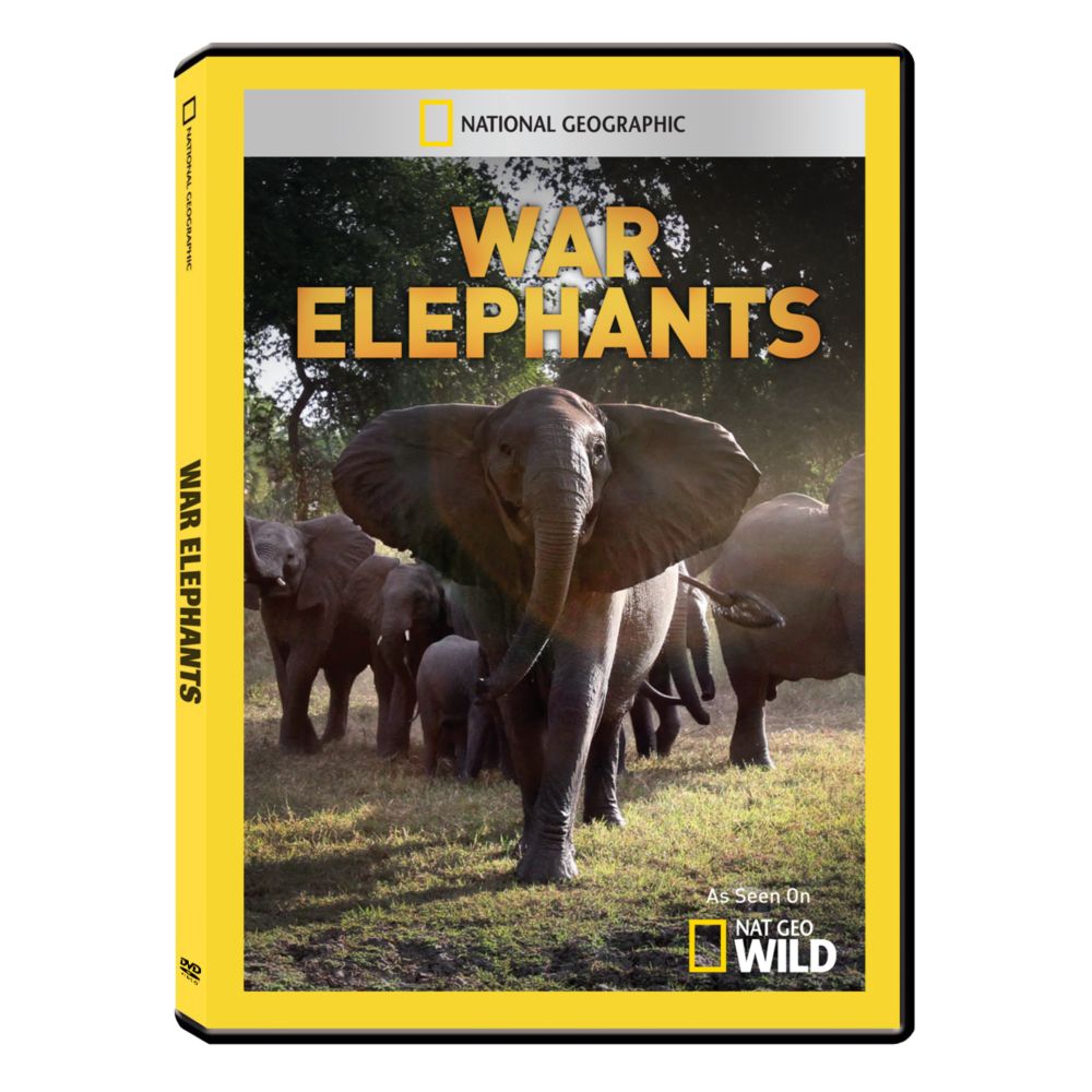 War elephants