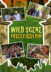 Caratula de Wild Scene Investigation (CSI de la naturaleza) 