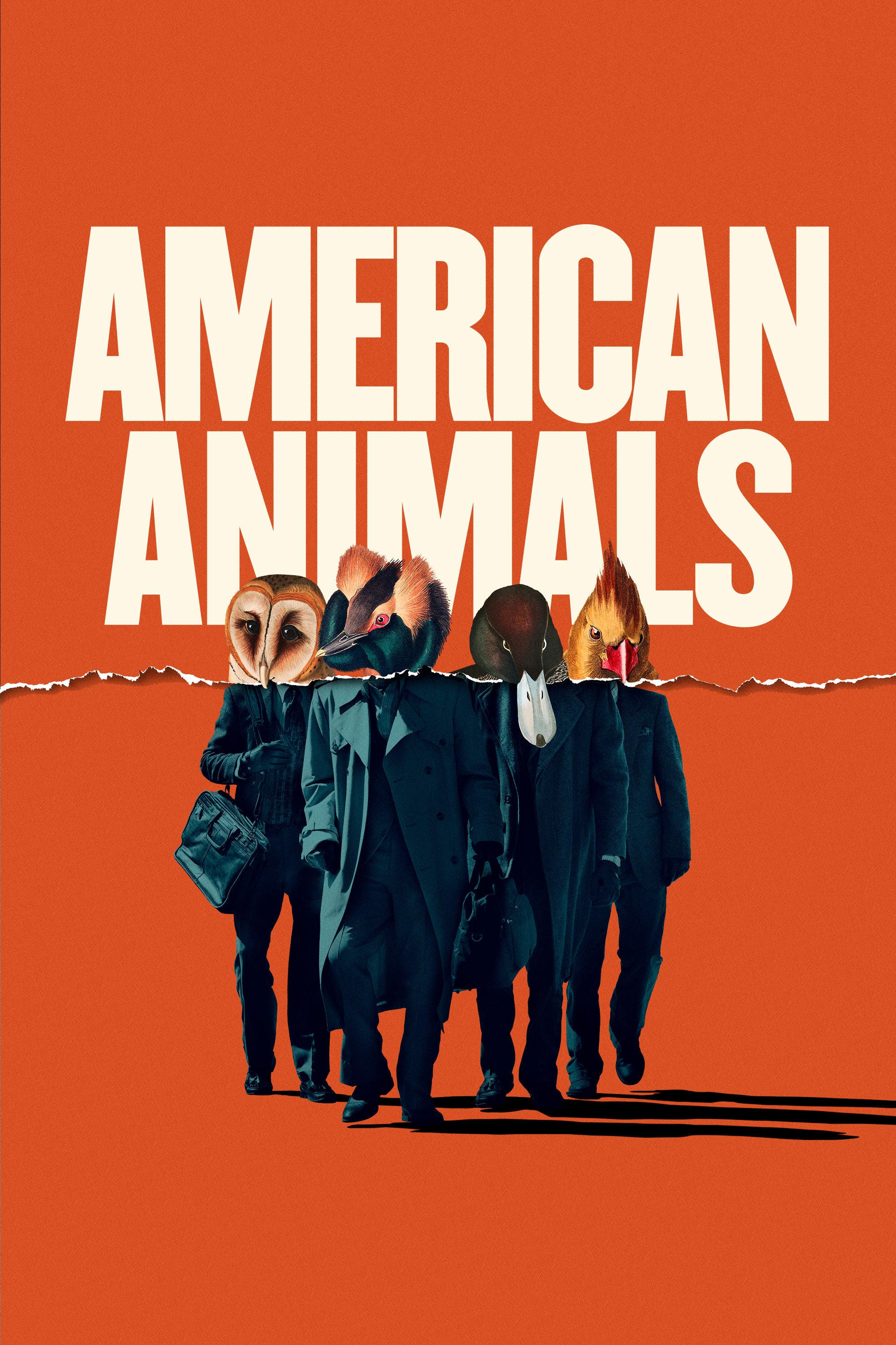 Caratula de American Animals (American Animals) 