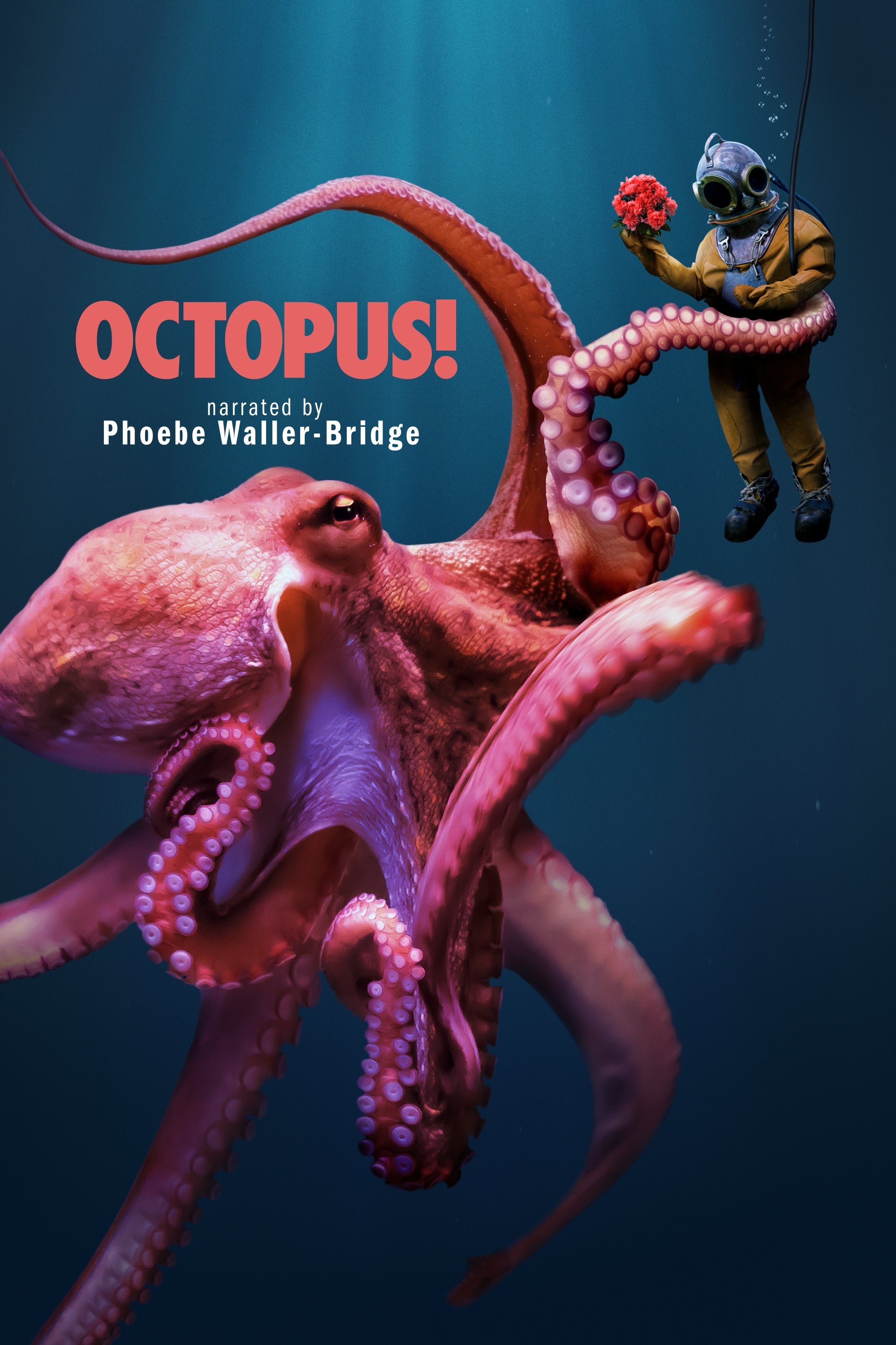 ¡Pulpo!