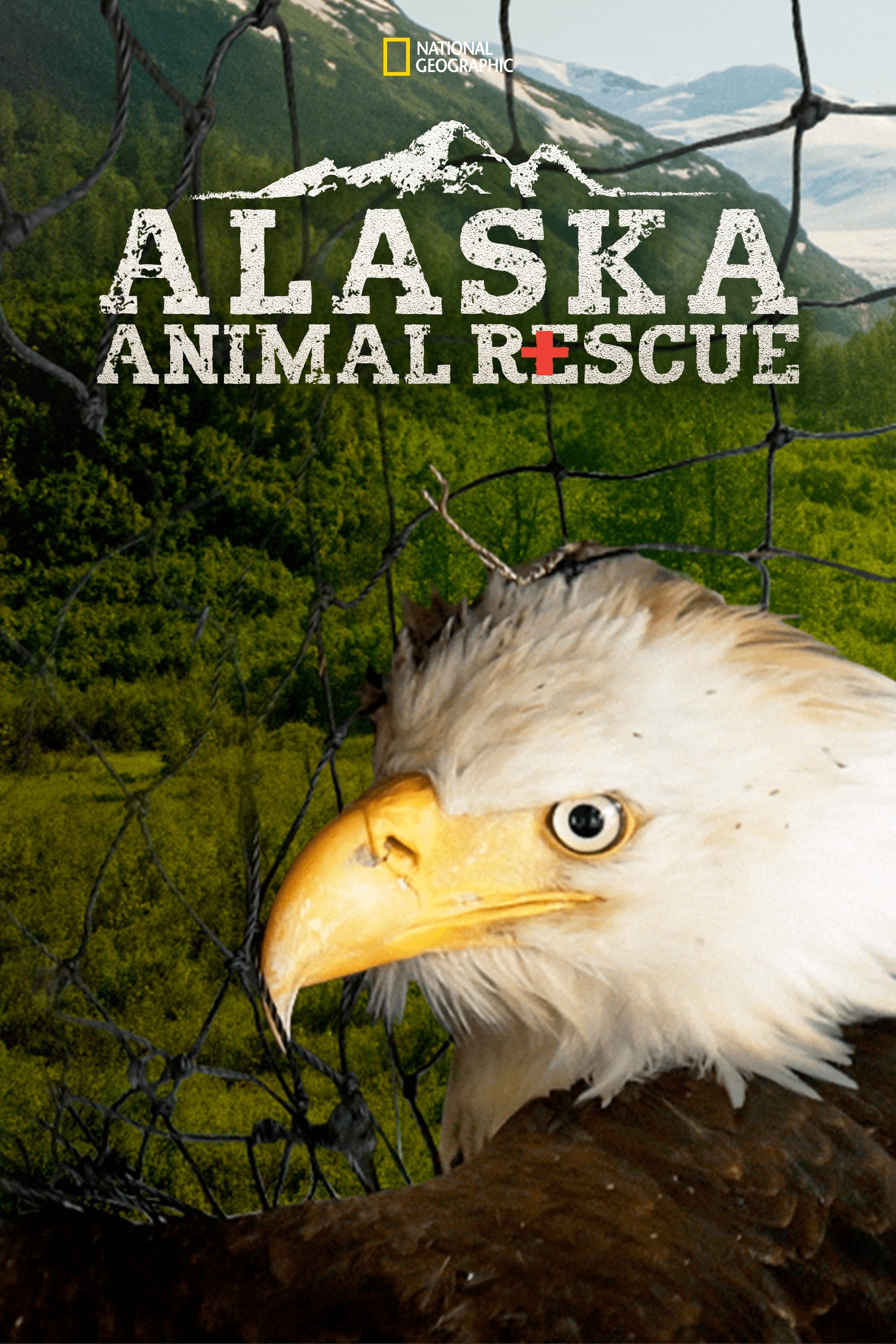 Caratula de ALASKA ANIMAL RESCUE (HEROES DE ALASKA) 
