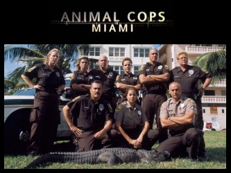 Caratula de Animal Cops: Miami (Animal Cops Miami) 