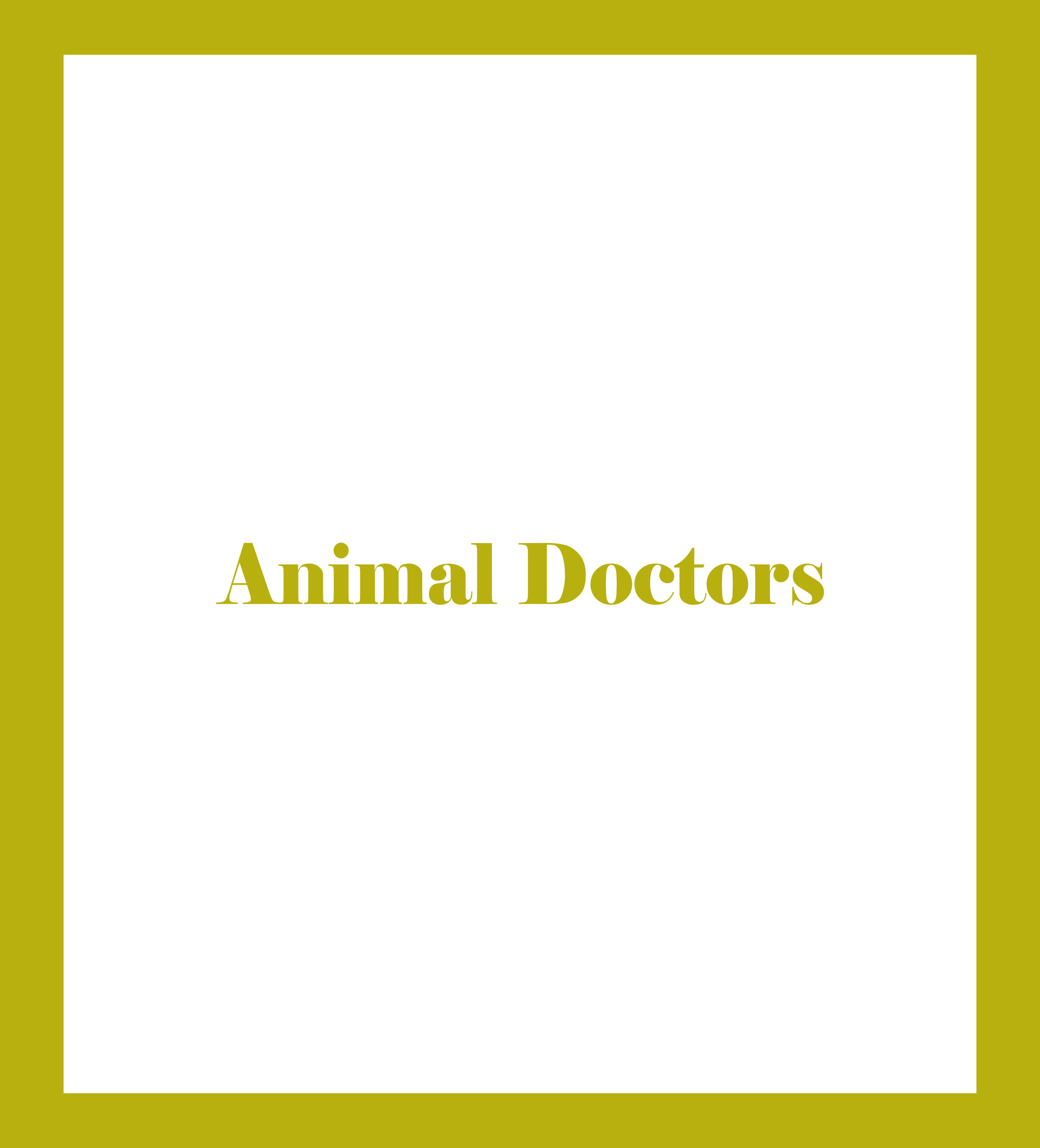 Animal Doctors