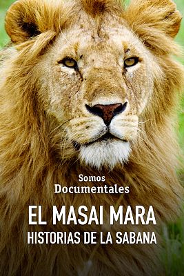 Masai Mara: Històries de la vida salvatge africana