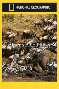 Caratula de Africa's Blood River (El río mas sangriento de África) 