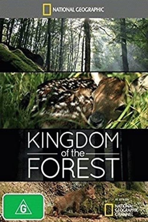 Caratula de KINGDOM OF THE FOREST (El reino del bosque) 