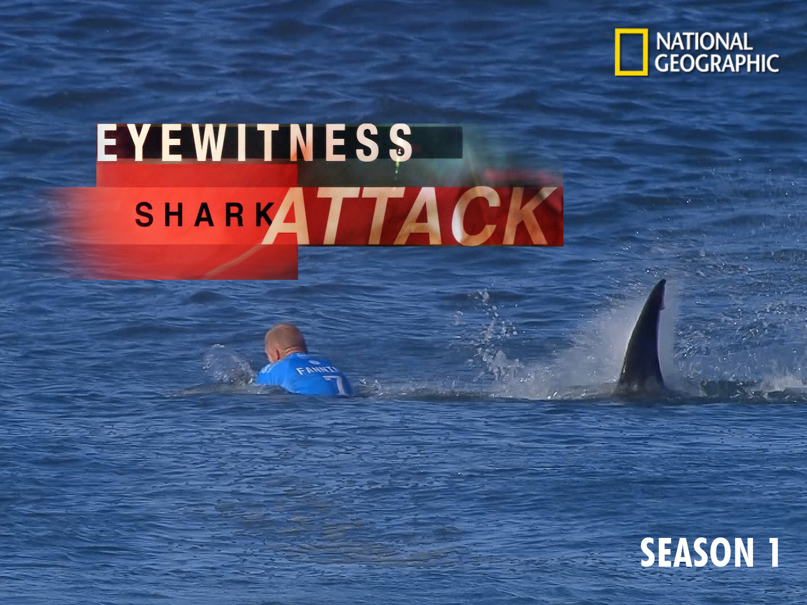 Caratula de Eyewitness: Shark Attack (Al descubierto: ataques de tiburones) 