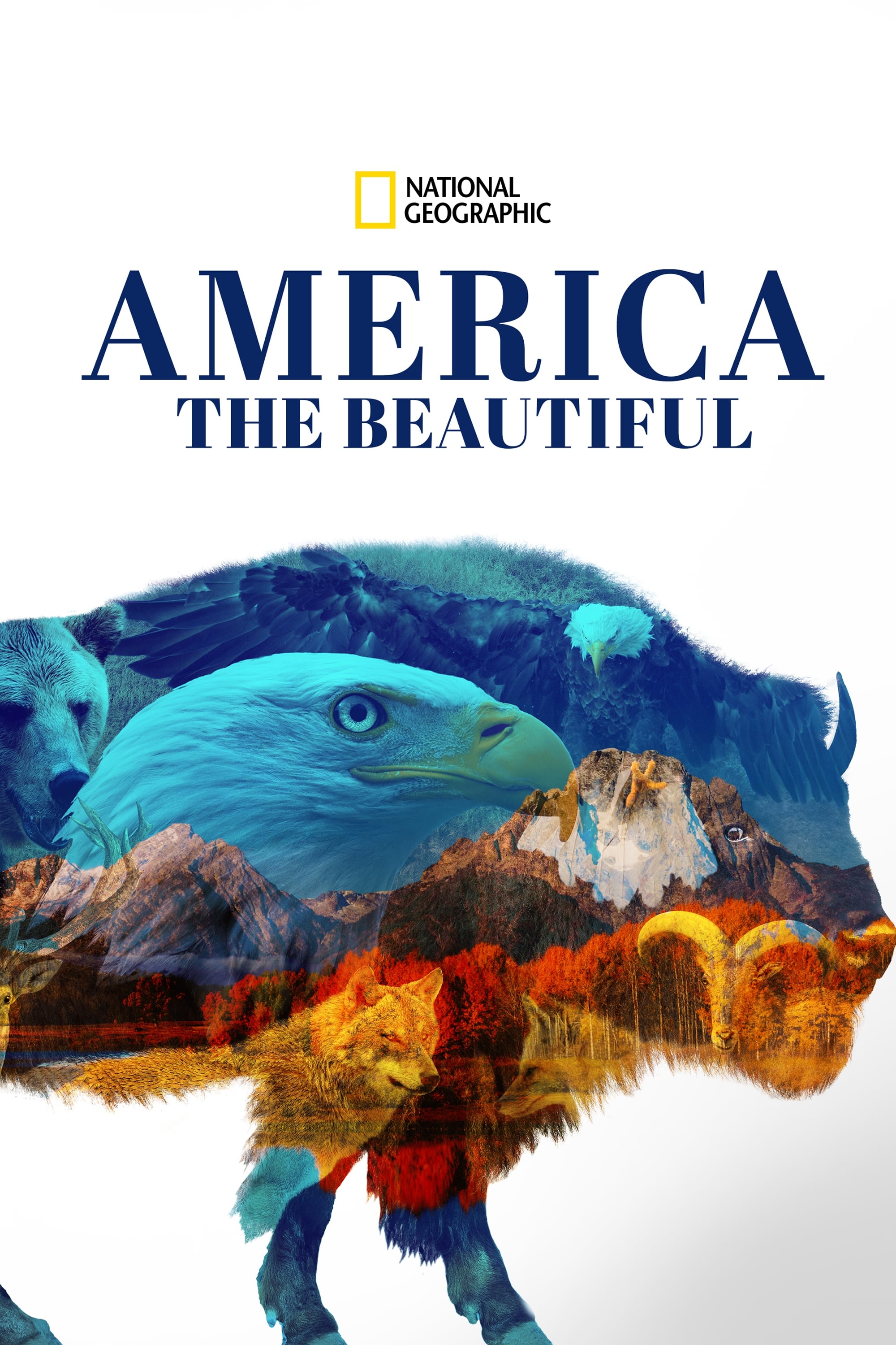 Caratula de America the Beautiful (América: Paisajes Extraordinarios) 
