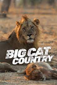 Caratula de Big Cat Country (Tierra de grandes felinos) 