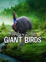 Caratula de The Mystery of Giant Birds (None) 