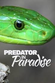 Caratula de Predator In Paradise: Rumble in the Jungle (Depredadores en el paraíso: Escaramuzas en la selva) 