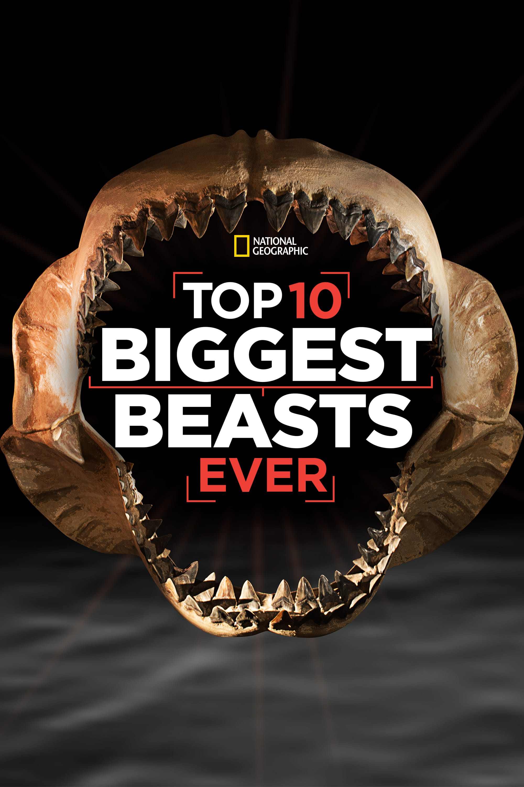 Las diez bestias mas grandes del mundo