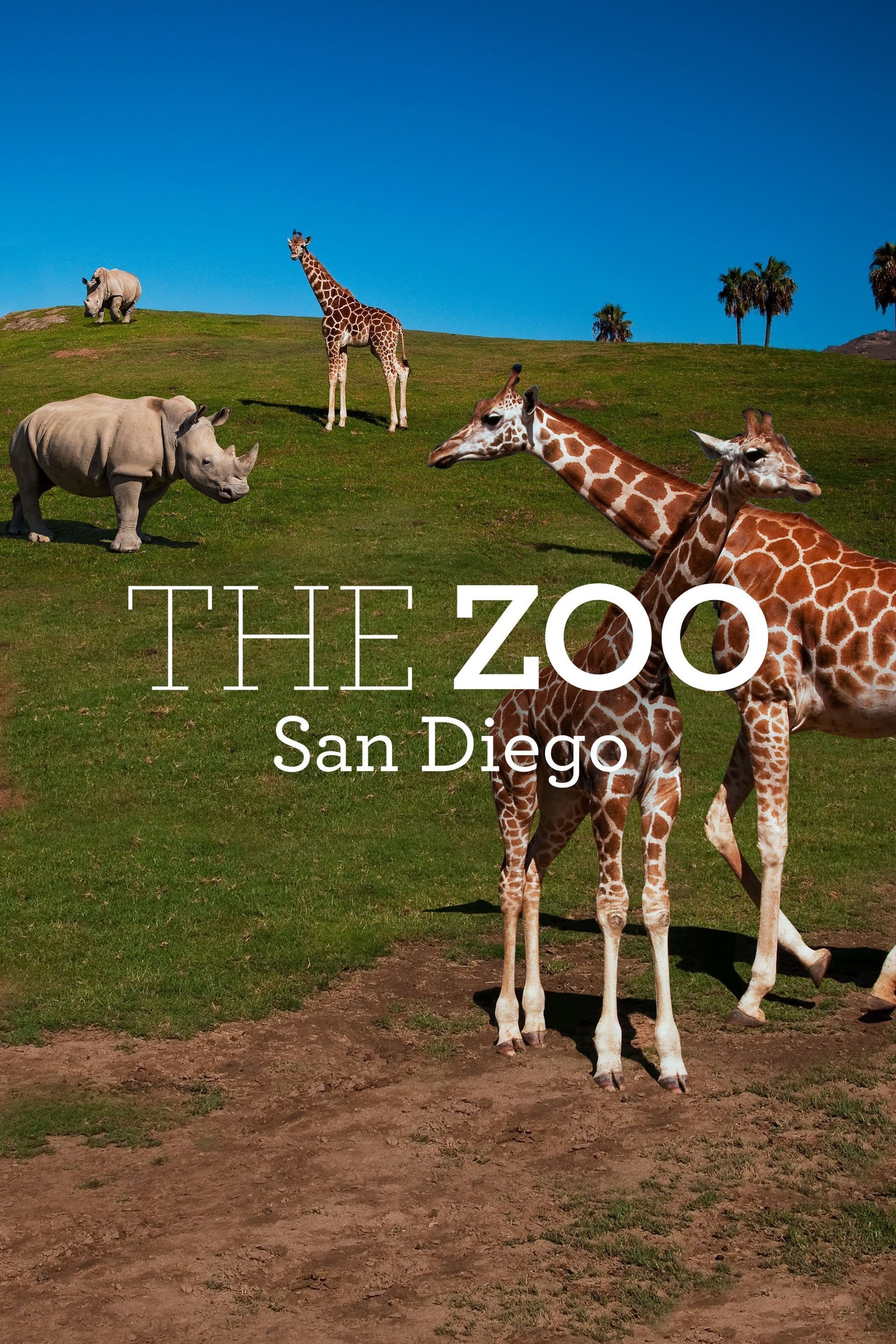Caratula de The Zoo: San Diego (El zoo de San Diego) 