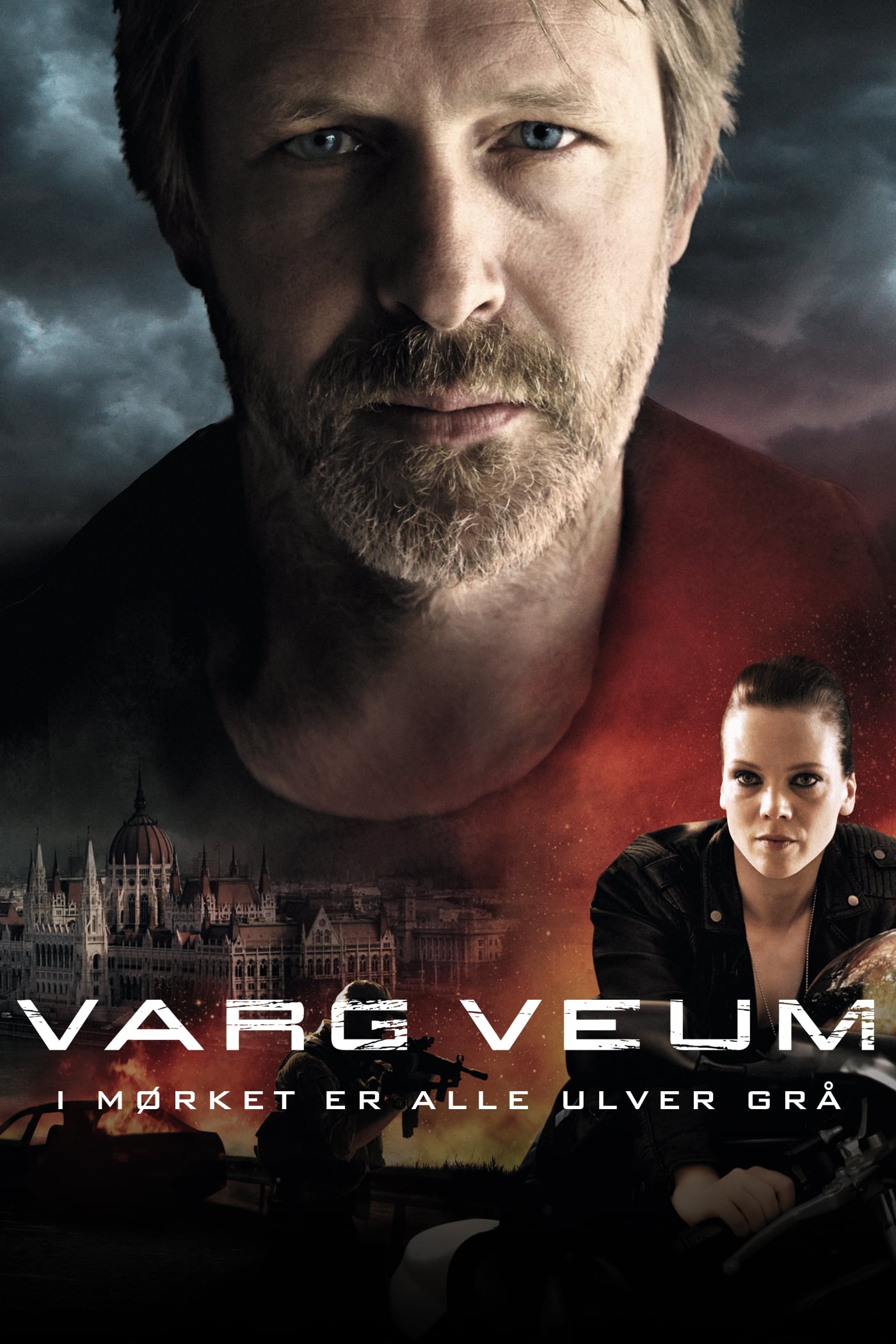 Varg Veum - En la noche todos los lobos son grises