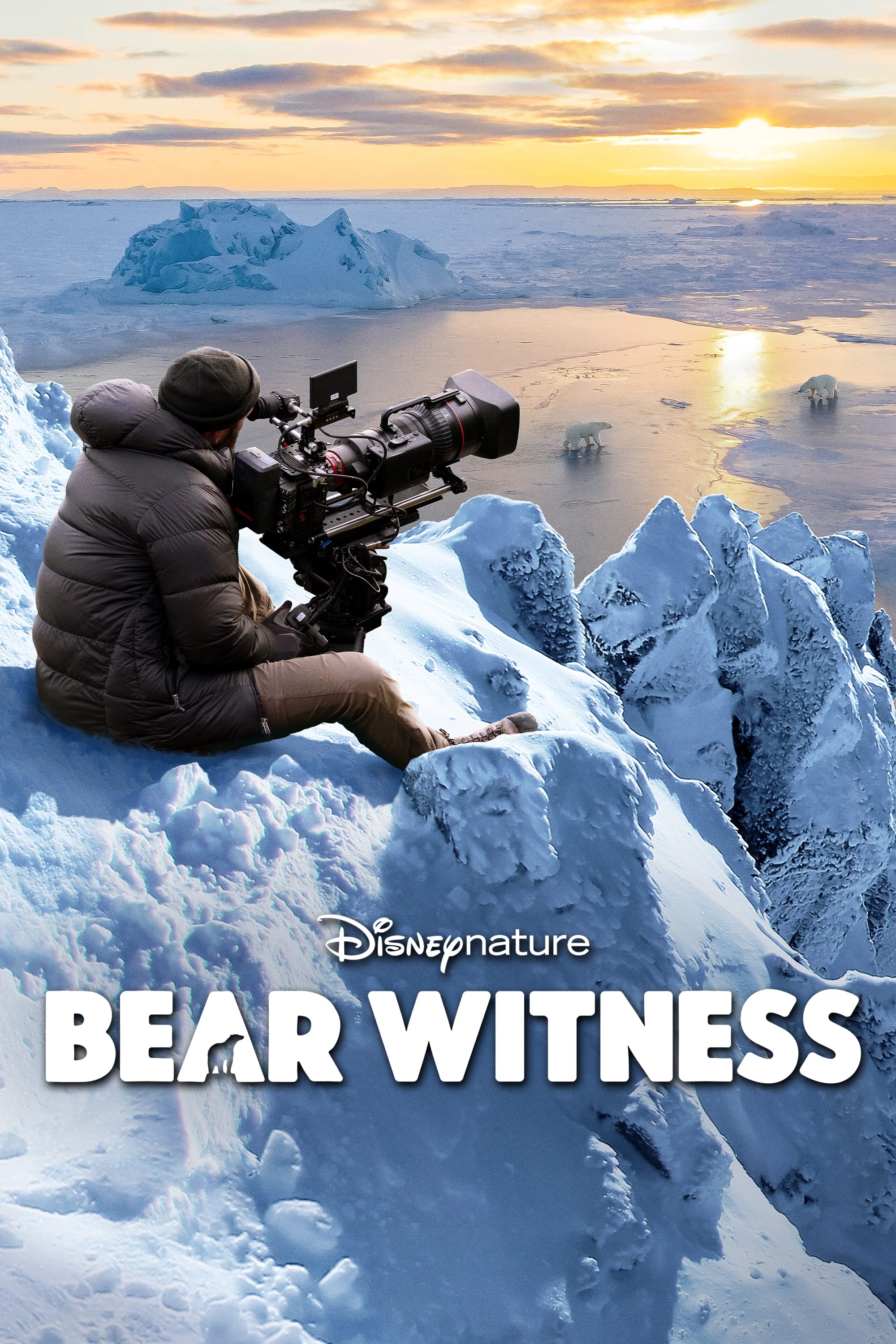 Caratula de Bear Witness (Osa polar: Cómo se hizo) 