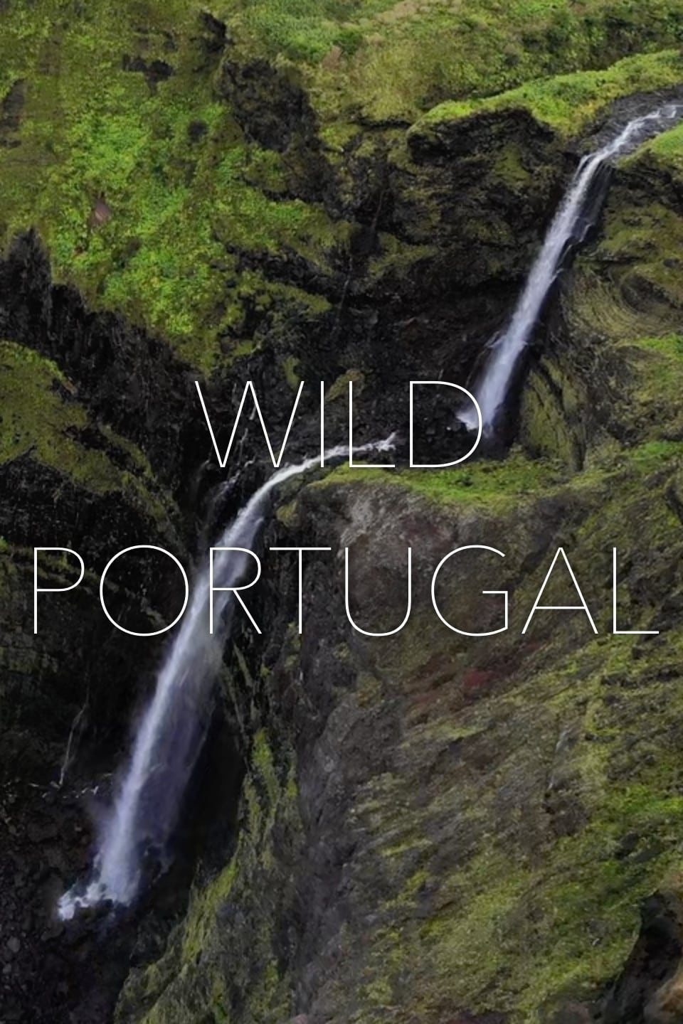 Caratula de Wild Portugal (Portugal salvaje) 