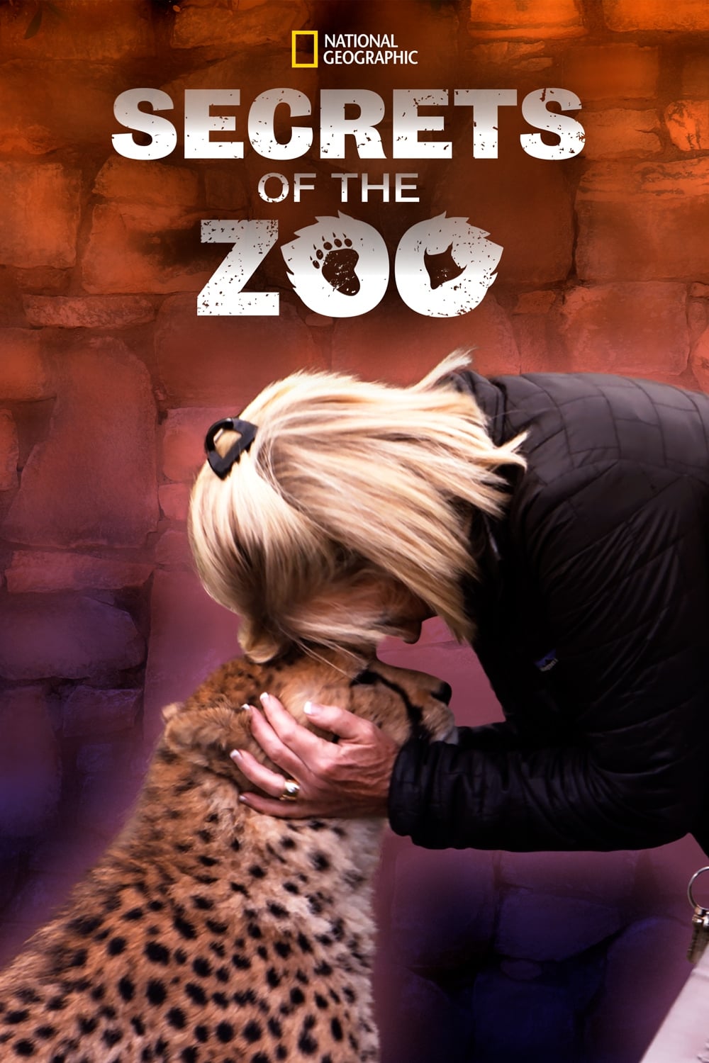 Caratula de Secrets of the Zoo (Los secretos del zoo) 