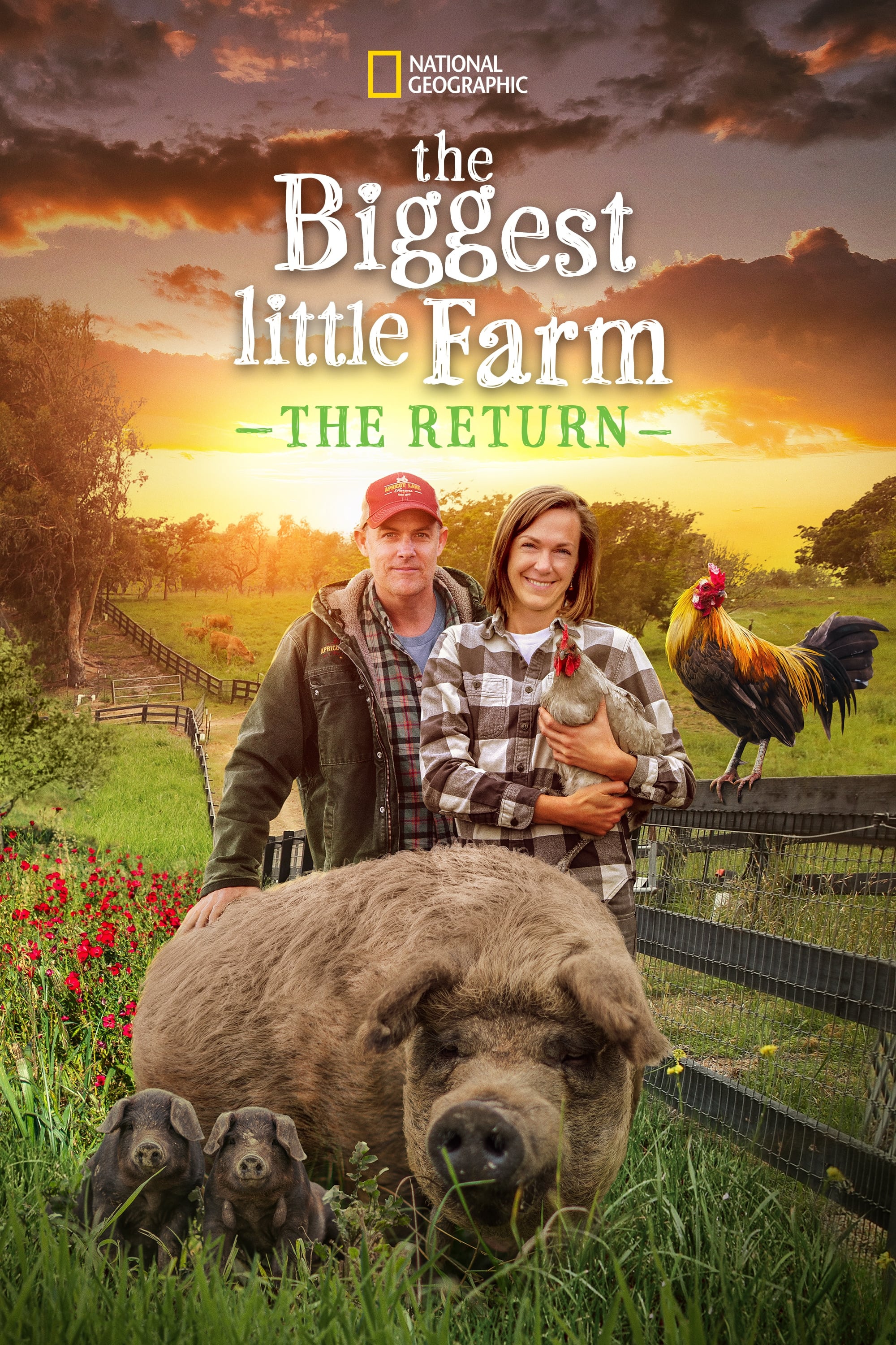 Caratula de The Biggest Little Farm: The Return (Mi gran pequeña granja: el regreso) 