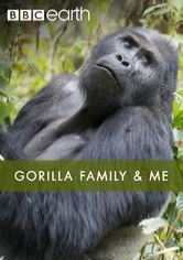 Caratula de Gorilla Family & Me (Los gorilas y yo) 