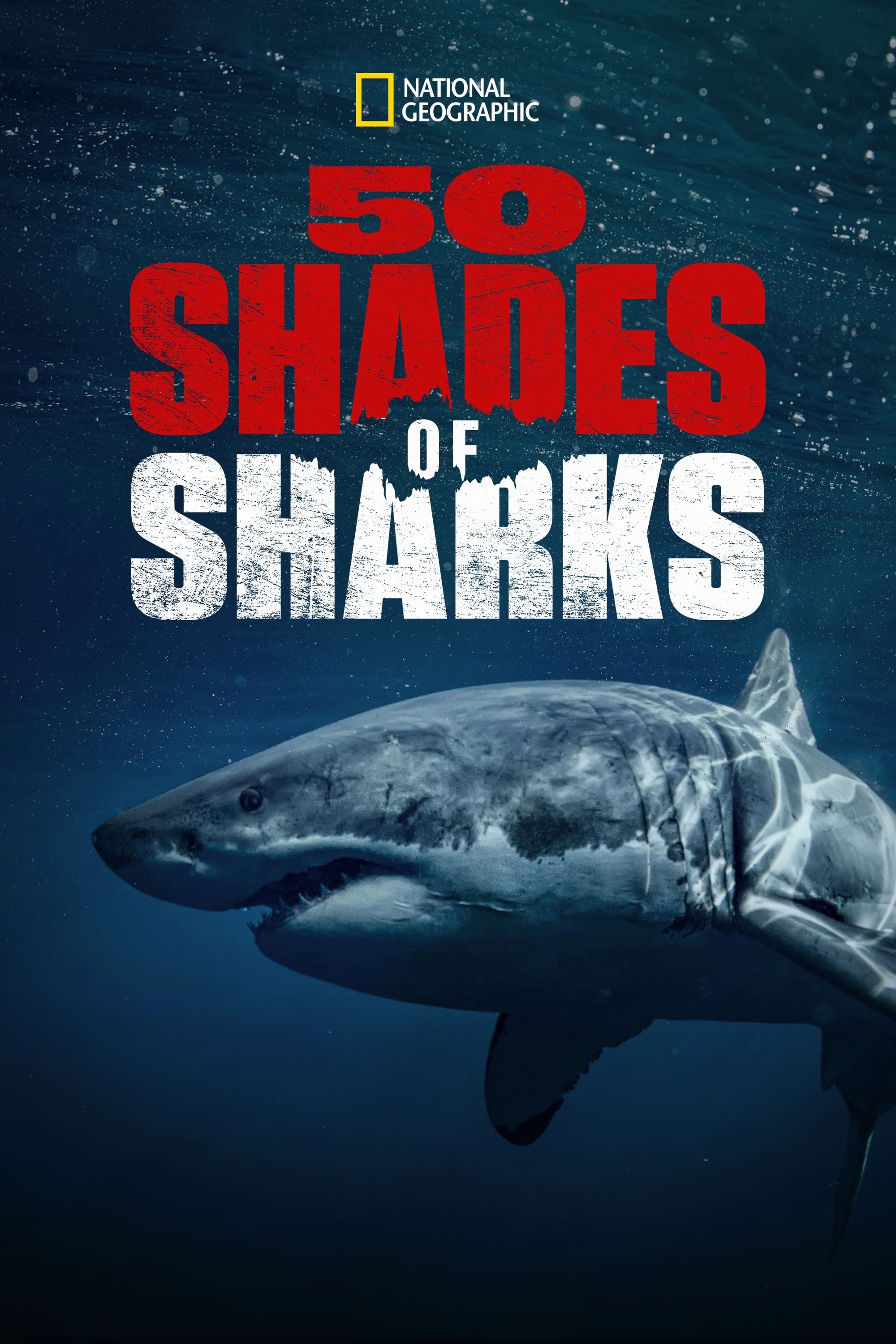 Caratula de 50 Shades of Sharks (50 SOMBRAS DEL TIBURÓN) 