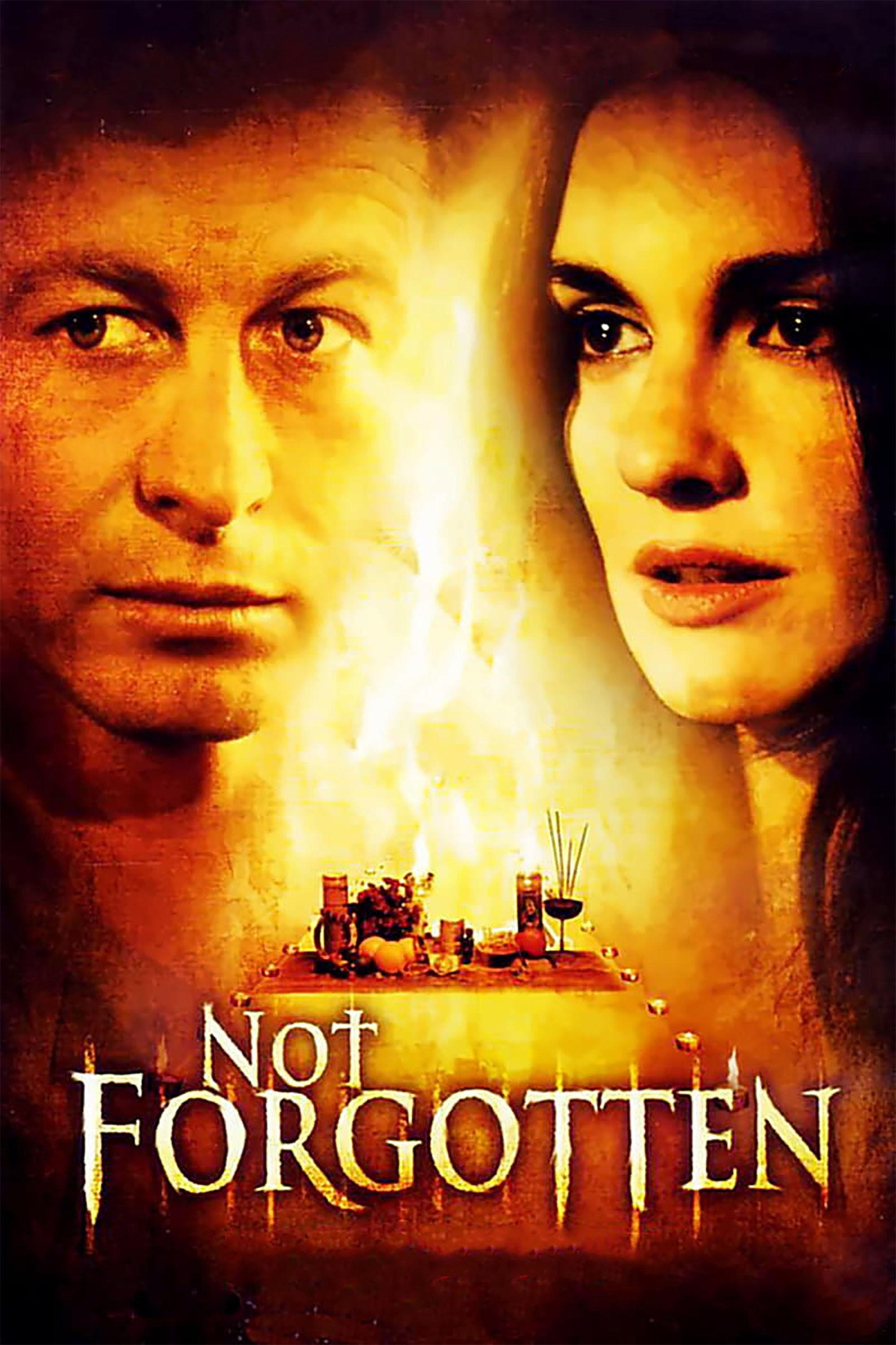 Caratula de Not Forgotten (Cosas que no se olvidan)