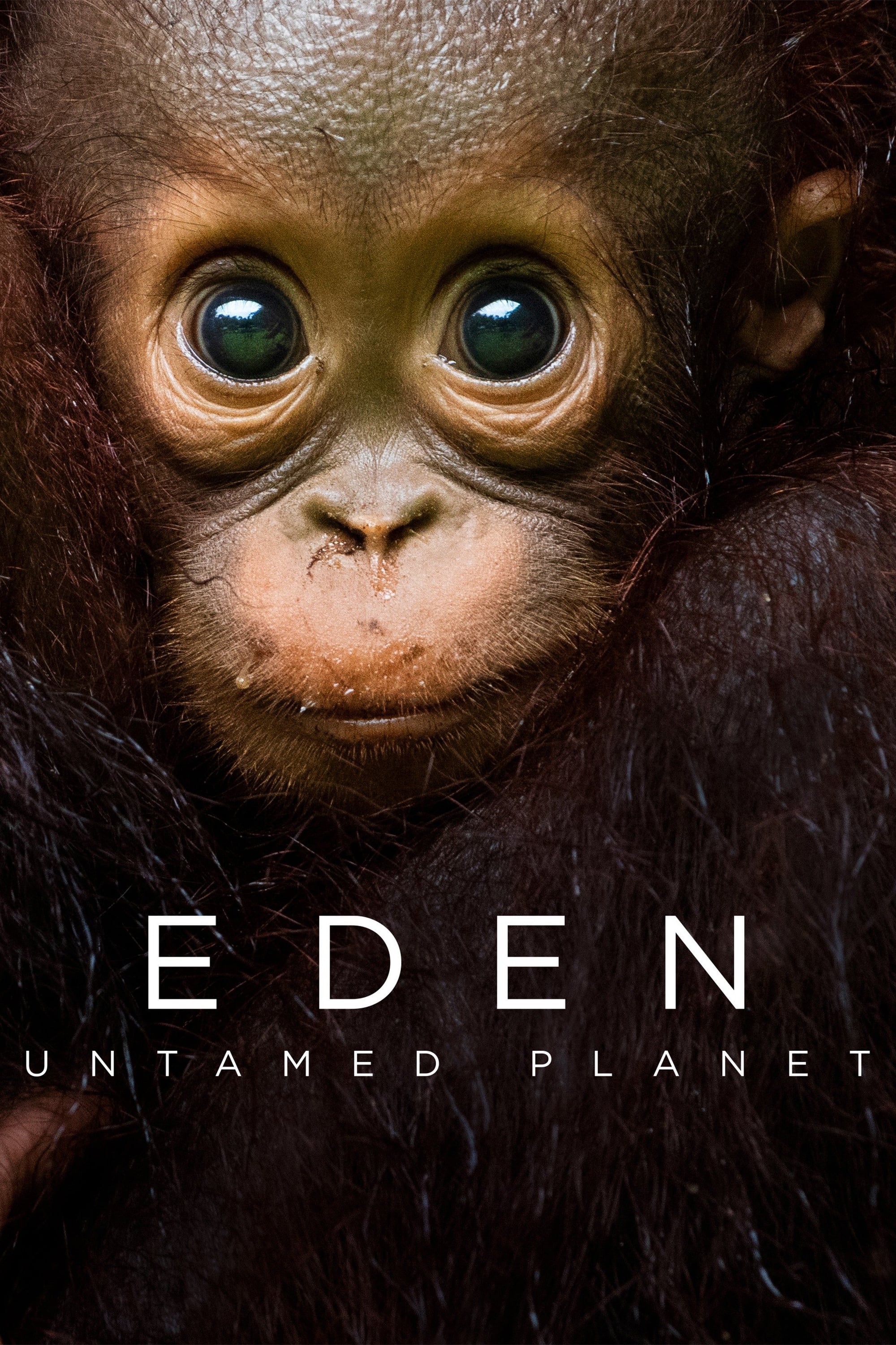 Caratula de Eden: Untamed Planet (Edén: Paraísos remotos) 
