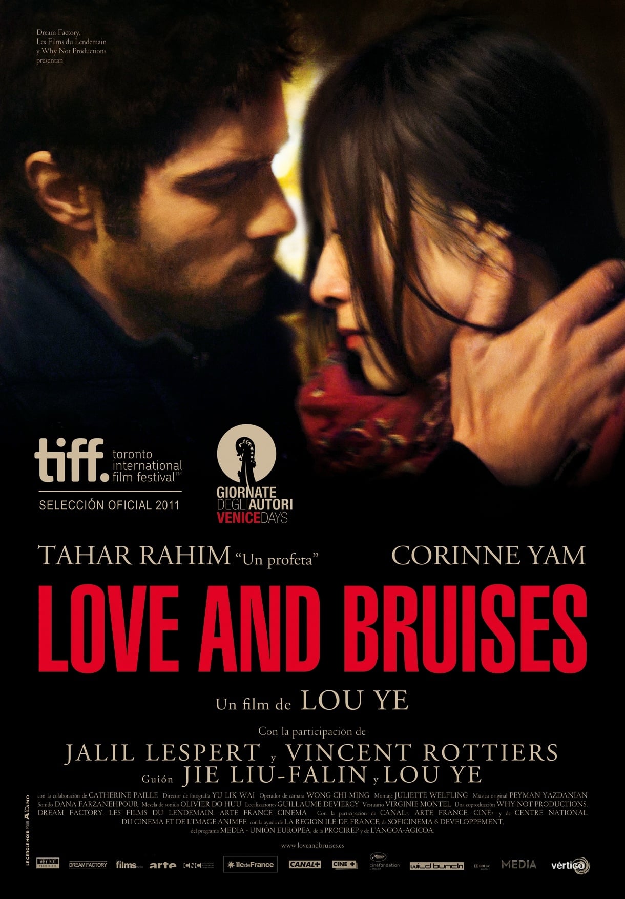 Caratula de Love and Bruises (Love and Bruises) 