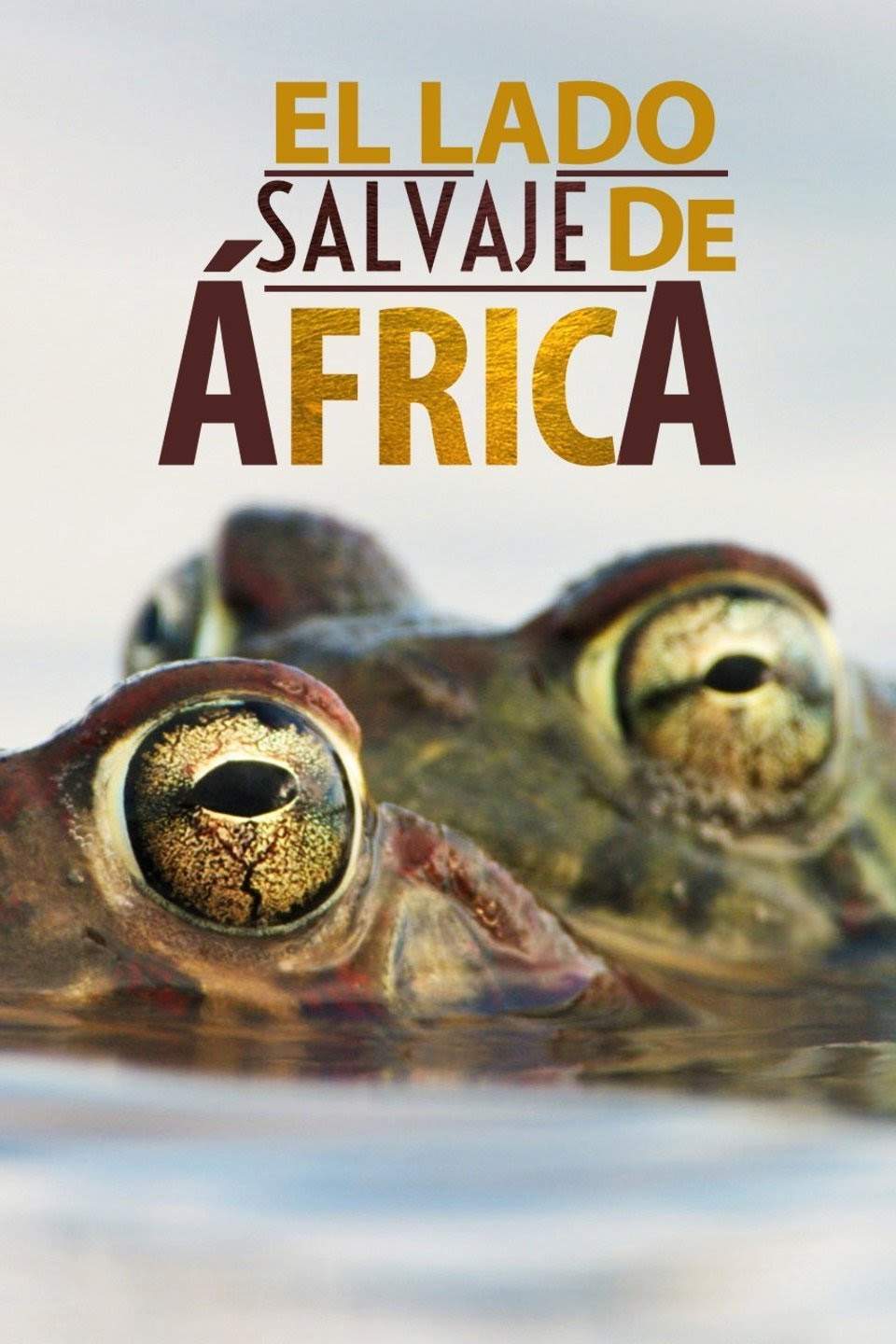 Caratula de Africa's Wild Side (El lado salvaje de África) 
