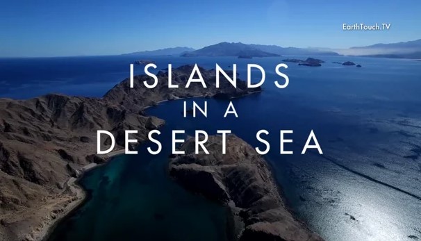 Islas de un mar desértico