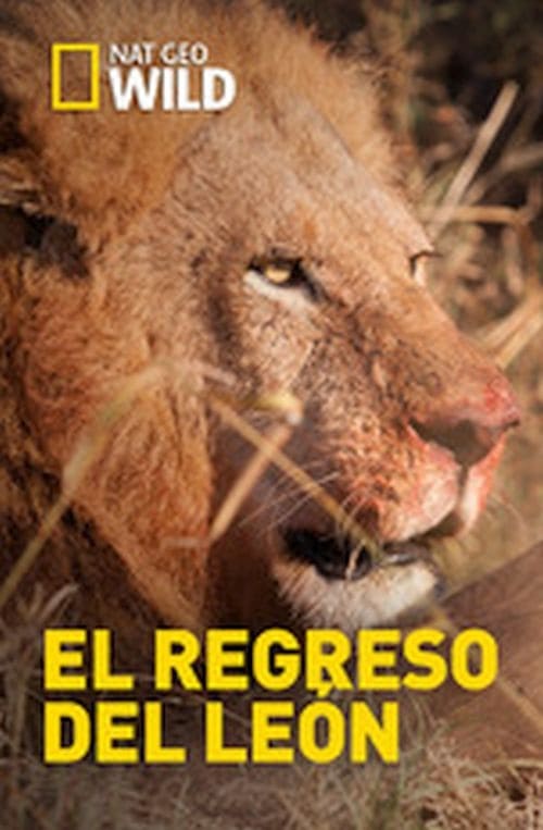 Caratula de Return of the Lion (EL REGRESO DE LOS LEONES) 