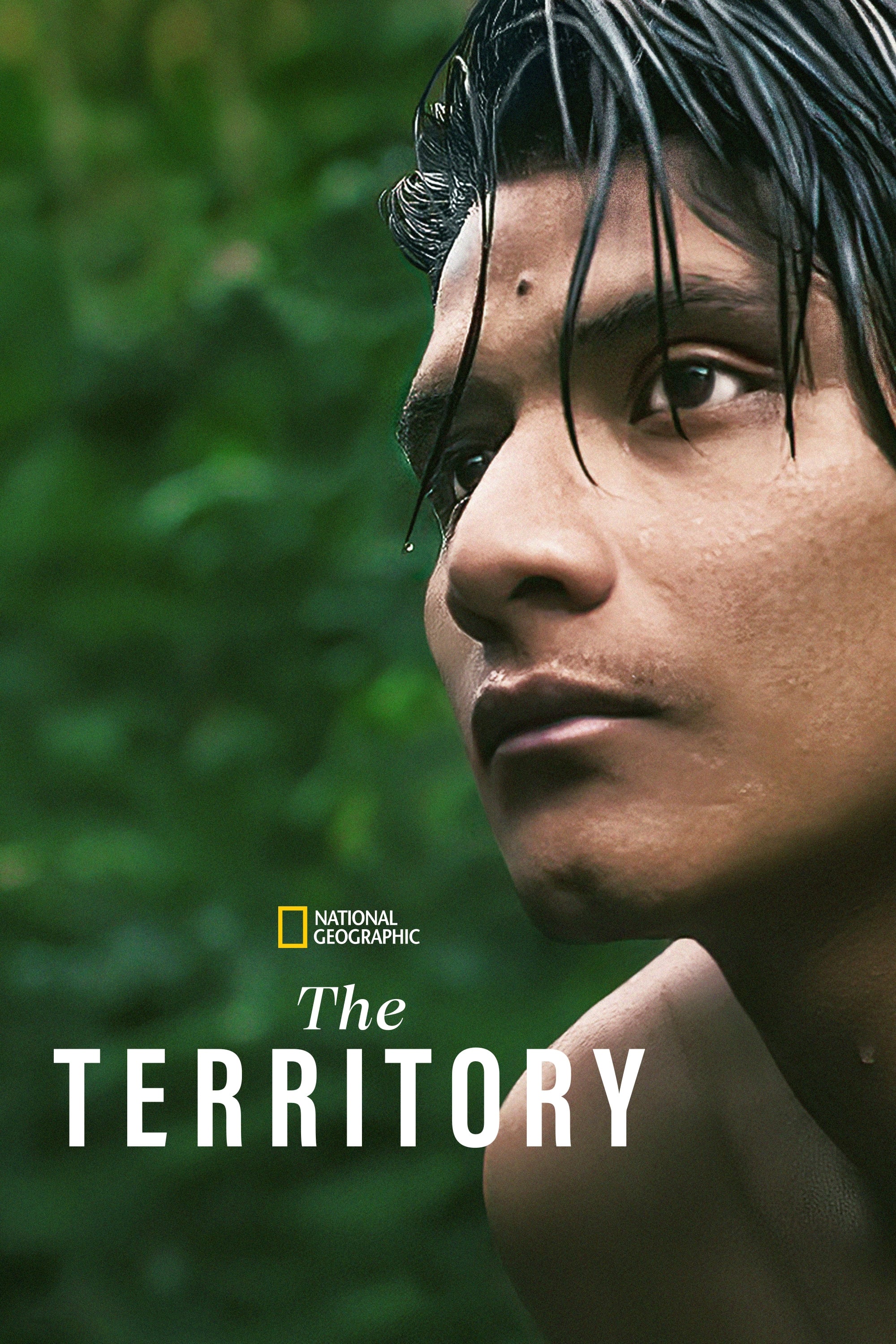 Amazonas: territorio límite