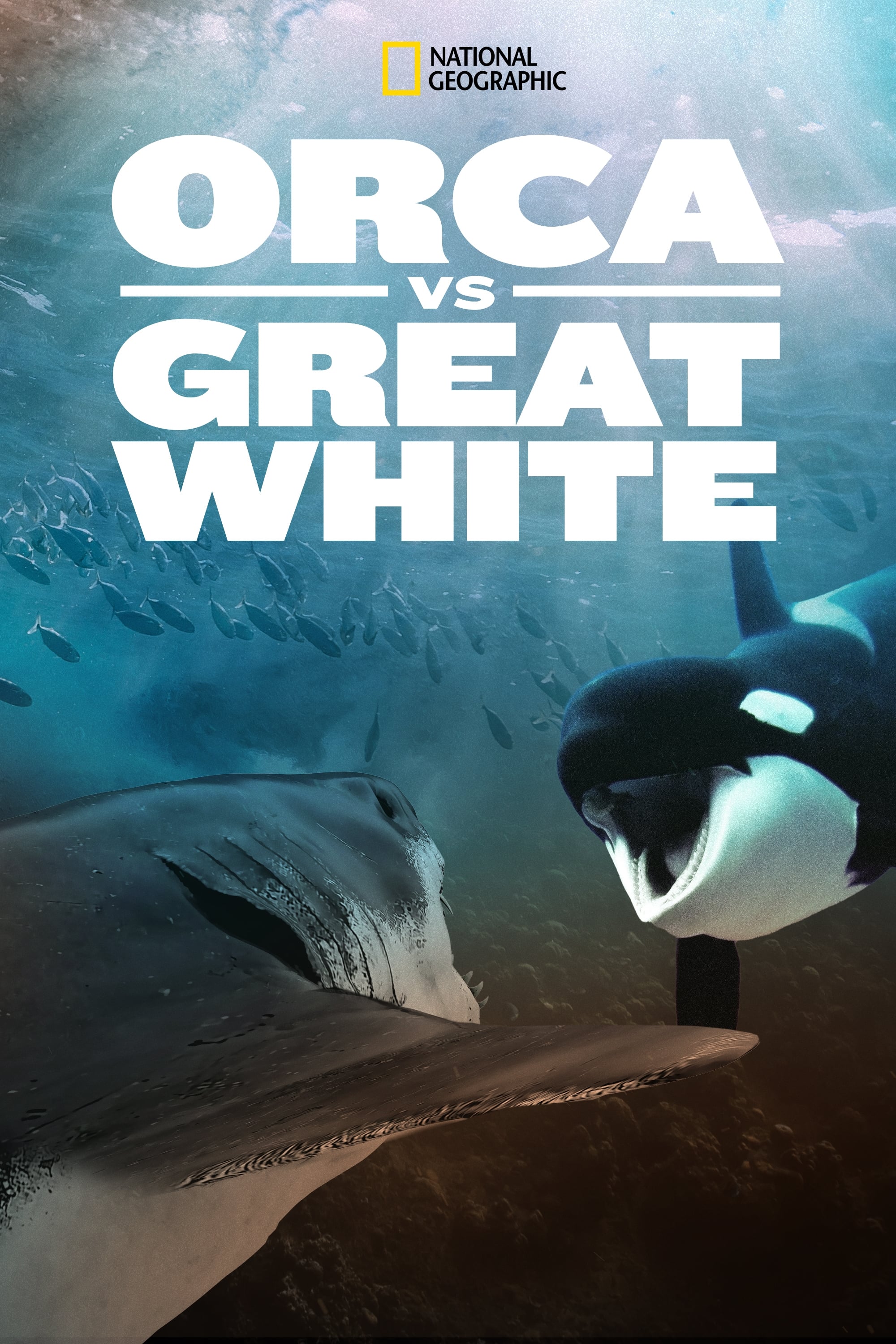 Caratula de Orca Vs Great White (Orca Vs Great White) 