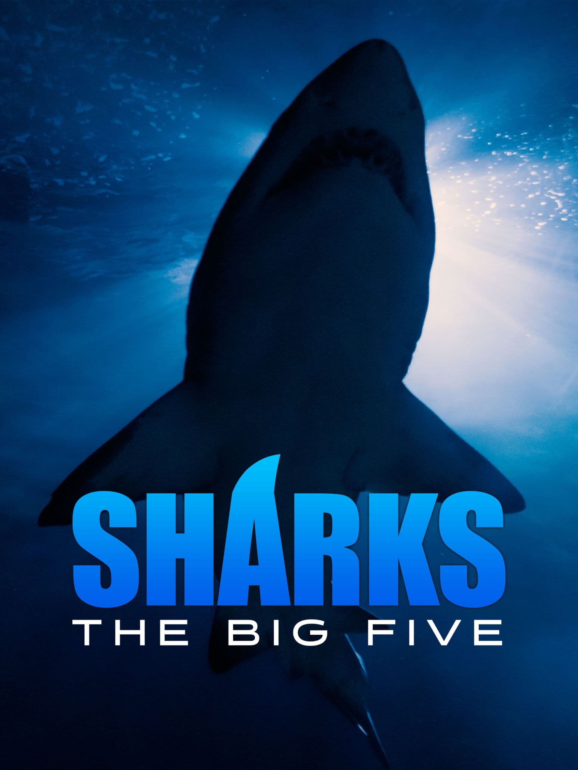Caratula de Sharks: The Big Five (Tiburones: los cinco grandes) 