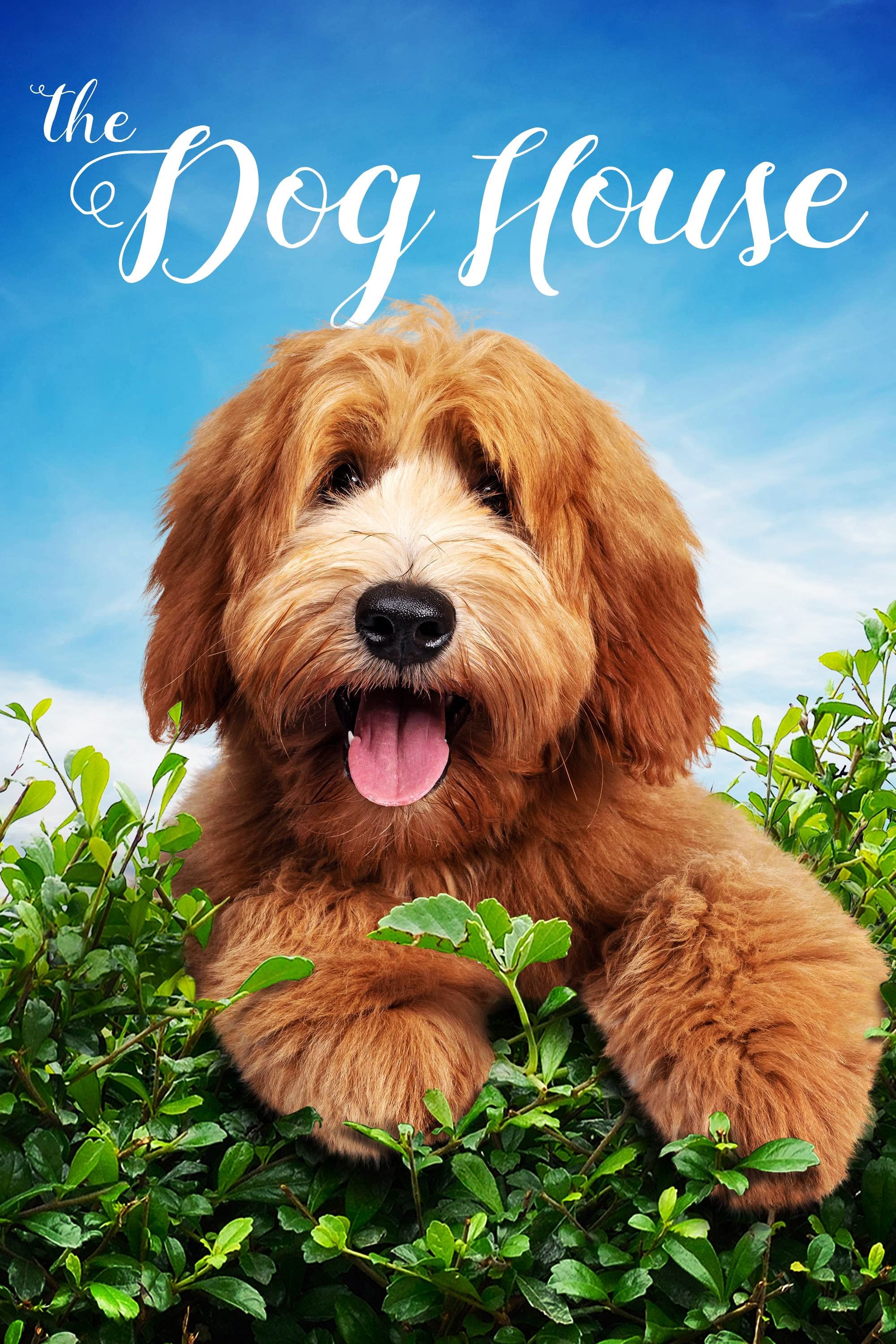 Caratula de DOG HOUSE (Dog House) 