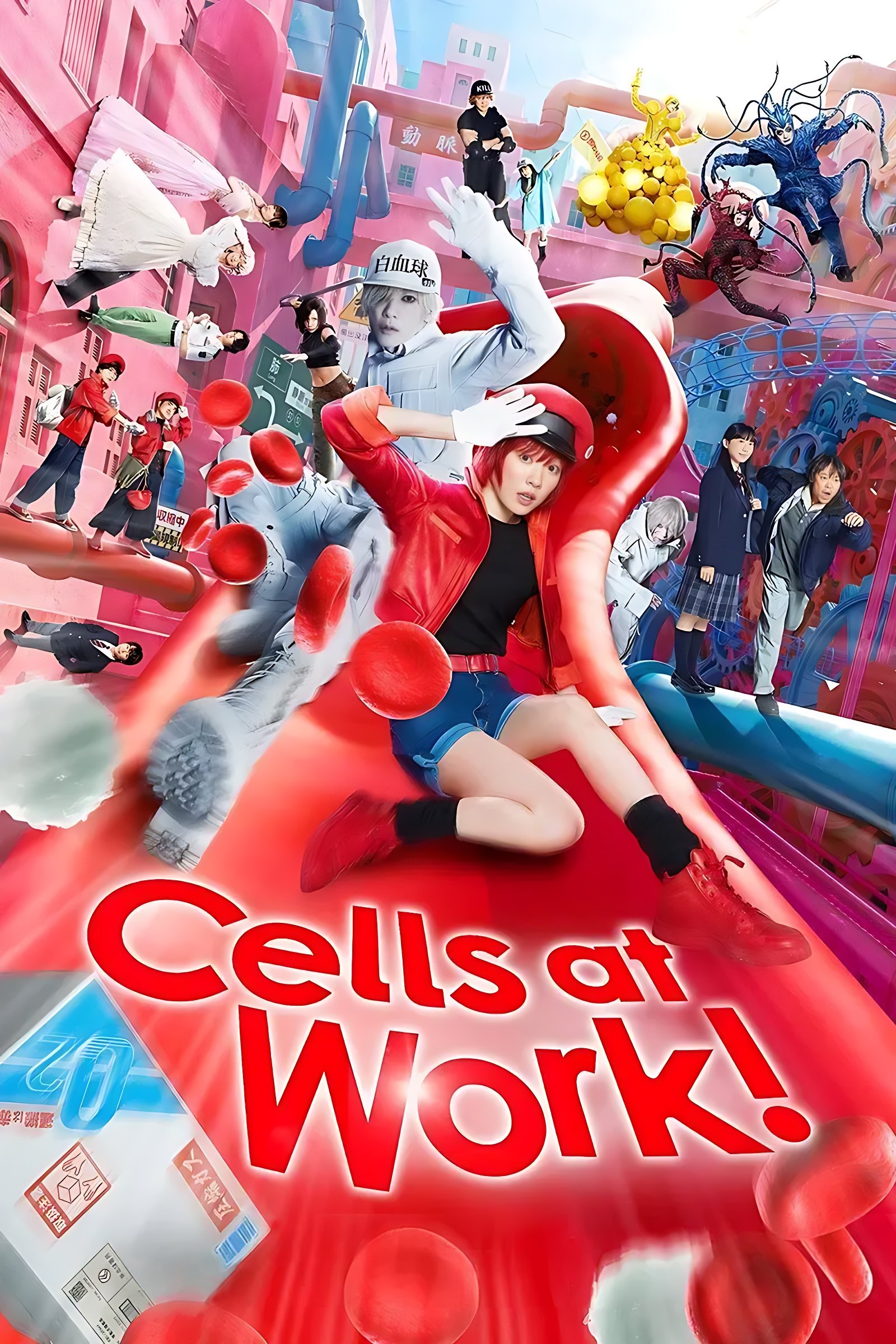Caratula de はたらく細胞 (Cells at Work!)