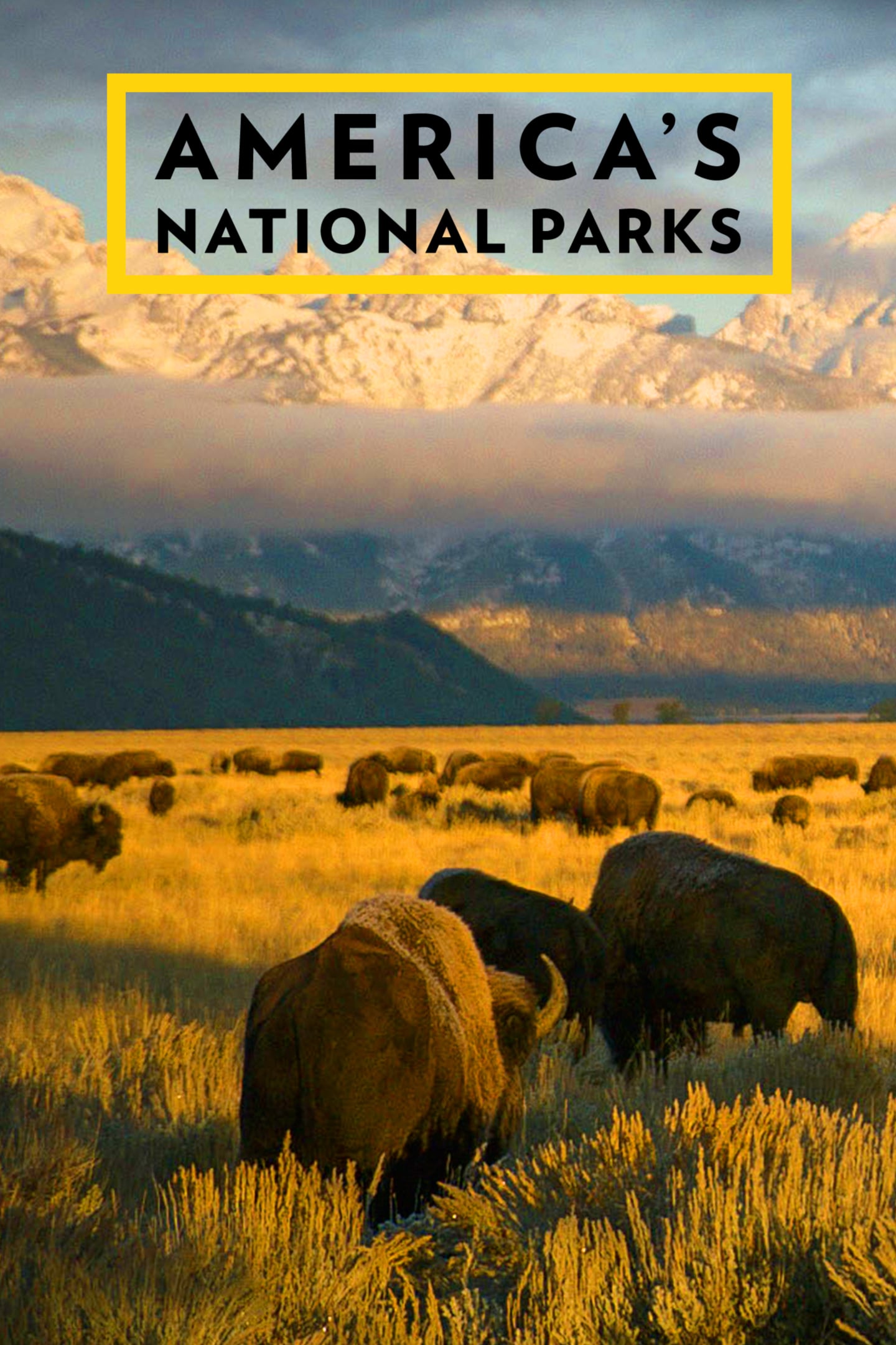 Caratula de America's National Parks (Especial: Los grandes parques de America) 
